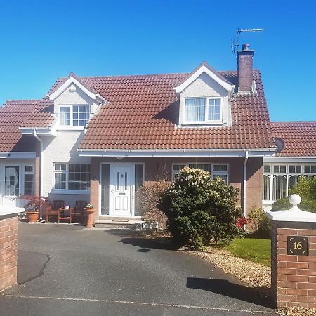 Highfields Self Contained Studio Bed & Breakfast Newry Dış mekan fotoğraf