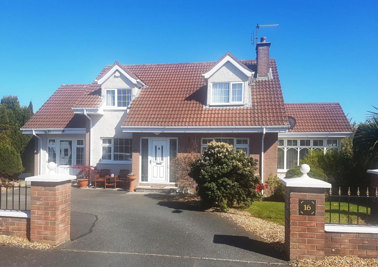 Highfields Self Contained Studio Bed & Breakfast Newry Dış mekan fotoğraf